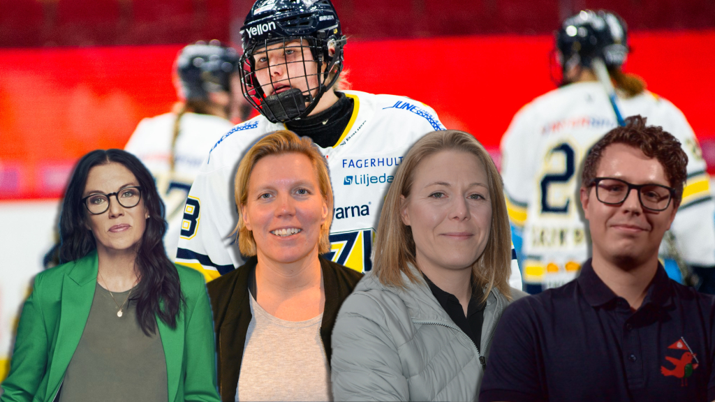 Hockeypanelen: De får kvala sig kvar i SDHL