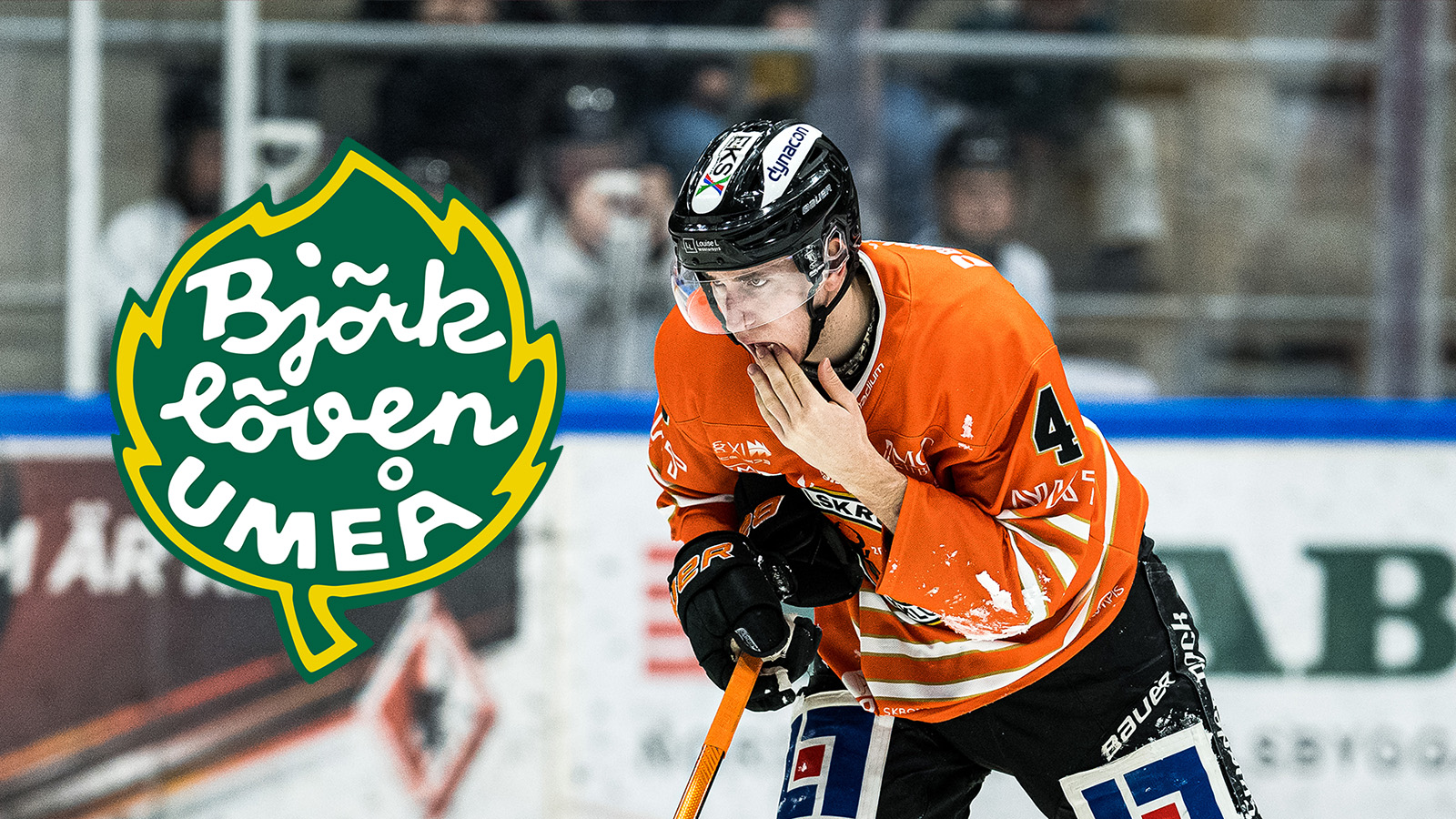 Björklöven värvar Martin Fransson från Karlskrona