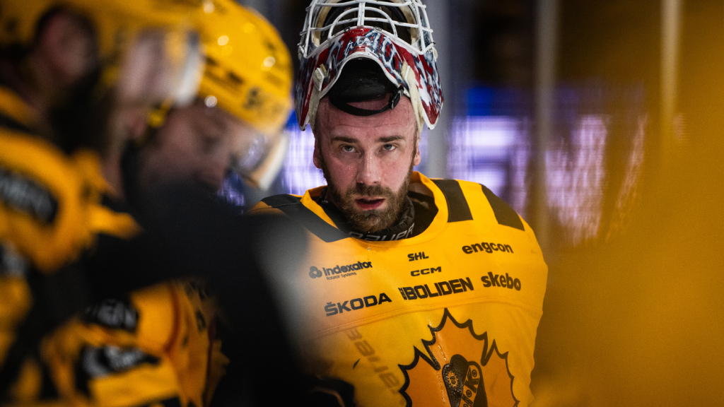 David Rautio tränar med Skellefteå AIK