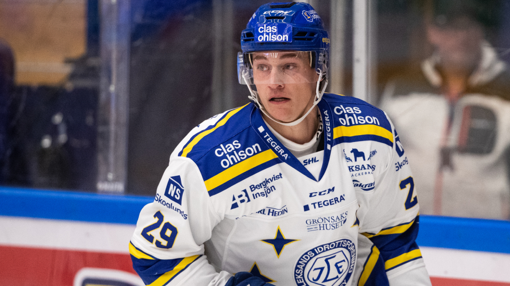 David Rundqvist stannar i Dresdner Eislöwen