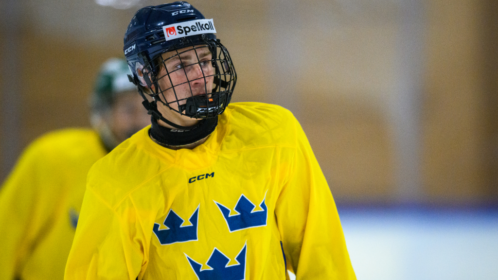 Sverige vinner brons i Hlinka Gretzky Cup