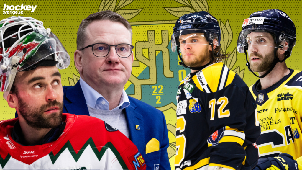 Södertälje 2024/25, trupp, betyg, analys, spelschema