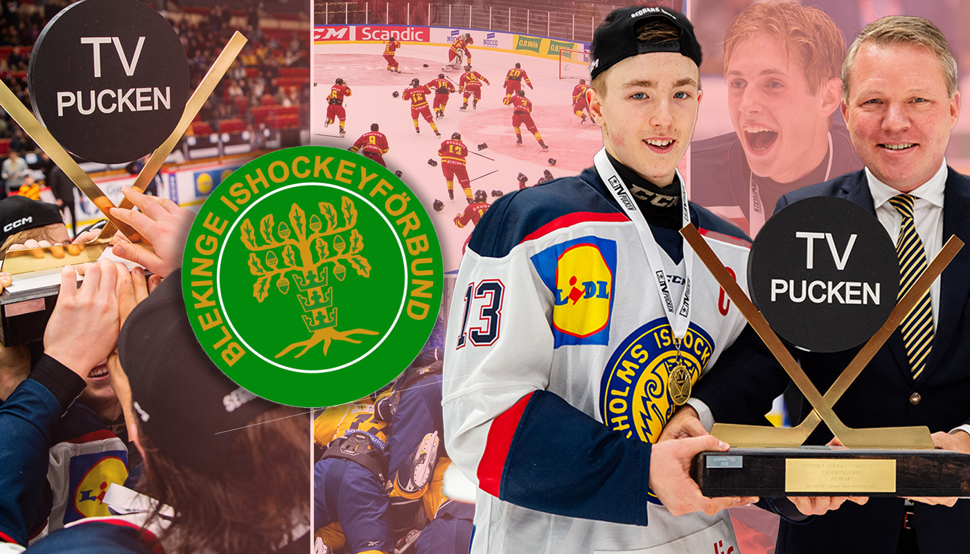 TV-pucken 2024: Blekinge – kommentarer om ALLA spelare
