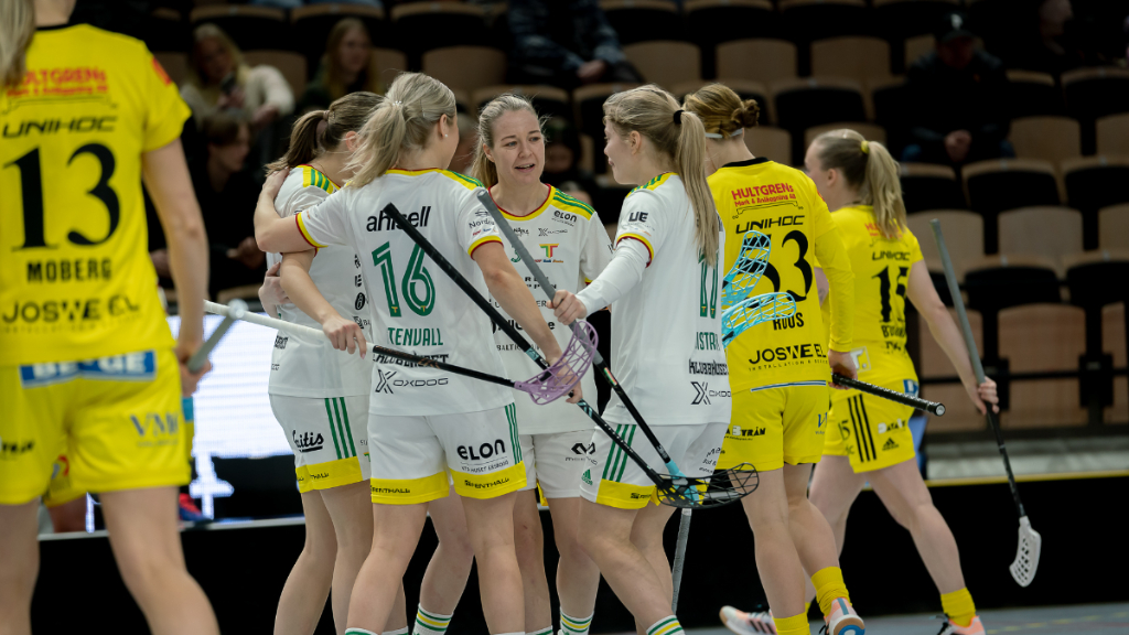 Highlights Endre Thorengruppen highlights-endre-thorengruppen
