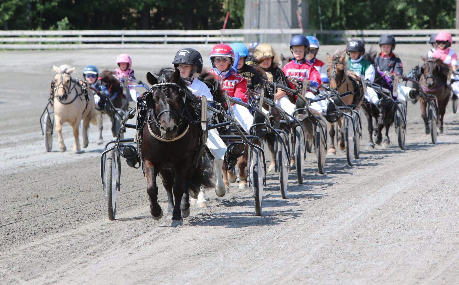 Store smil og seierstårer – 135 kusketalenter samlet på tidenes nest største ponnilandsleir