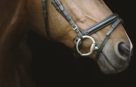 Bort fra å bruke fingrene som måleverktøy ved kontroll av nesereim