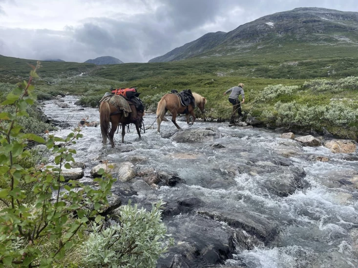 Signe (23) red Norge på tvers med tre islandshester: – Jeg håper folk blir inspirert til å dra på tur med hest