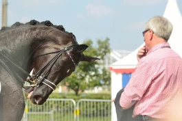Mer enn et øyeblikksbilde: – Gjennomgangen av bildene fikk meg til å endre syn på sporten