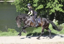 Skulle ha hest å ri på – endte opp med en 2-årig traver: – Det var veldig fint å få en fot innenfor i både travsporten og ryttersporten