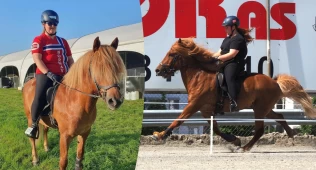 Fra turhest til VM-deltaker – trente islandshesten som en travhest