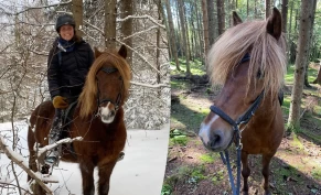 Omfattende studie ved NMBU: Menneskemedisin har gitt Alfa et bedre liv