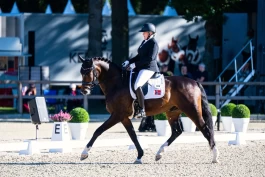 Norsk paradressurmedalje allerede kapret - i dag skal det ris om OL-plass i dressur