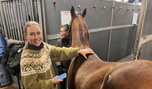 Eira undersøkte norske hester - annenhver var overvektig: – Det største problemet er mangel på kunnskap