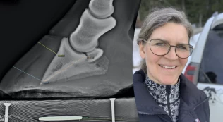 Veterinæren om forfangenhet: – Vi ser også hester uten svært tydelige symptomer