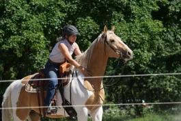 Trine Bøhnsdalen om trening av unghest: – Handler ikke bare om å venne hesten til rytter og sal