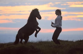 Ine (21) trener dressur i frihet: – Du kan få til alt det samme fra bakken av som fra ryggen
