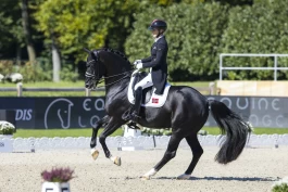 Dressurdronning Isabel Freese: – Stevnene er bare en liten del av det store bildet