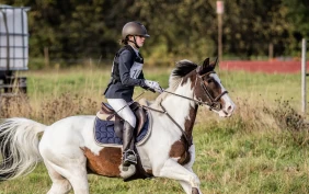 Et comeback ingen så komme: Ilja (13) gikk helt til topps med enøyde Tipi