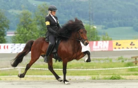 An-Magritt Morset Hegstad er ny landslagsleder: – Jeg brenner for sporten og menneskene, og ønsker å bidra