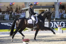 Overvåkningskameraene fantes allerede hos Helgstrand