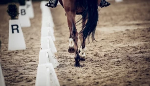 FEI med første uttalelse om dokumentaren: – Vi håndterer denne saken grundig