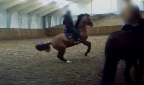 Helgstrand svarer på kritikken: – Den måten å trene hestene våre på er ikke riktig