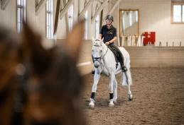 Rytterkorpset søker to nye politihester – har du en ung, trygg og høy vallak?