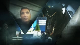 Bak lukkede dører foregår det mye som ikke tåler dagens lys hos Helgstrand Dressage