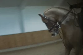 Slutten på alt av samarbeid med Helgstrand?