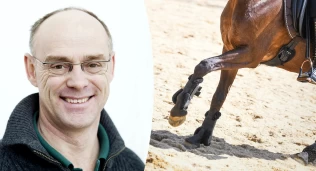 Lars Roepstorff er ekspert på underlag: – Variasjon i kvalitet handler mer om vedlikehold enn materiale og type bane