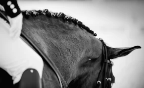 « Vi lever i en rar og spennende tid