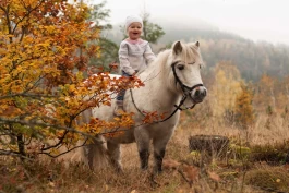 Leserbilder for november: Blant høstfargene