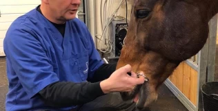 – Nesereimen irriterer meg veldig – jeg tror vi helt har glemt funksjonen