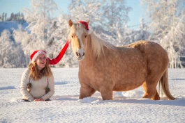 Månedens leserbilder for desember: Tid for julebilder
