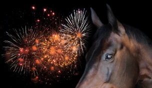Om fyrverkeri skremmer og forårsaker alvorlige skader på hesten