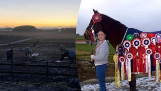 Da Kristina endret hesteholdet, slo Orighana alle rekorder: – Det minste jeg skylder henne, er en god hverdag