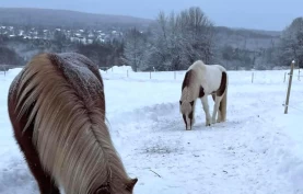 Brøyter stier i snøen for å stimulere til mer bevegelse