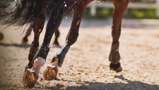 Bommer på bøyd spor bygger styrke: – Veldig god måte å variere hverdagsridningen på