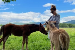 – Dette livet var en barndomsdrøm, men en drøm jeg tenkte var ufornuftig