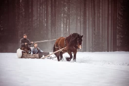 Leserbilder for januar: I vinterland