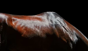 Skala for bedømming av muskelmasse