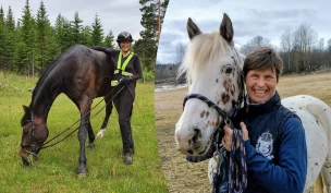 Å ta valget om avlivning: – Mange romantiserte og urealistiske holdninger rundt å holde dyr i live