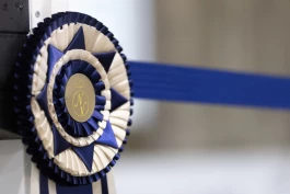 Norsk Varmblod om SWBs nye unghesttester: – Vi ser stor verdi i diskusjonen og fokuset på bedre alderstilpassede krav