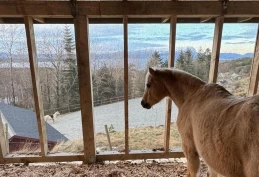 En kreativ liggehall og maksimal utnyttelse av arealet kjennetegner Inas utegang