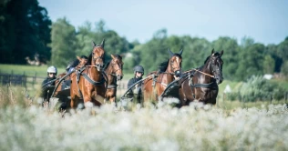 – Like viktig å la hestene hvile som å trene hardt