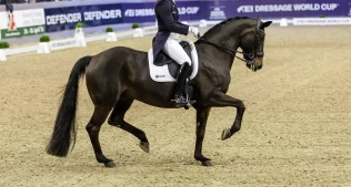 FEI undersøker ikke blå tunge-publiseringen videre