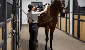 Taushetskultur: Hva er det som gjør at ingen våger å snakke?