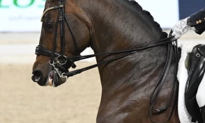 Fotograf Crispin: – Man må kunne dokumentere detaljer som kanskje ikke er så behagelige å se på