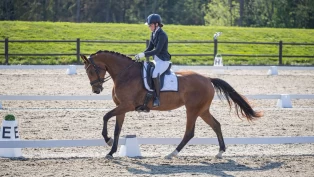 En prat med Sandra Nicoline Birkeland: –  Jeg fokuserer på at hestene skal like det de gjør