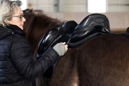 Viktigheten av en sal som passer: – Når det er godt å være hest, er det gøy å være rytter